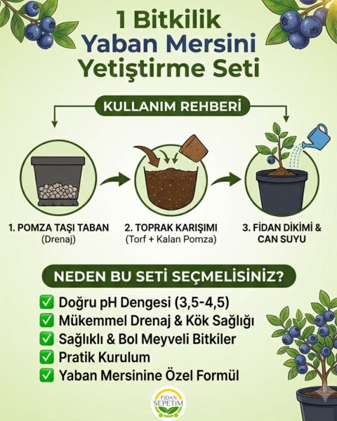 1 Bitkilik Yaban Mersini Yetiştirme Seti