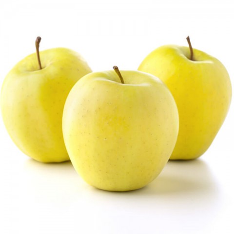 Aşılı Golden Delicious Elma Fidanı (Sarı Elma) -Açık Köklü-
