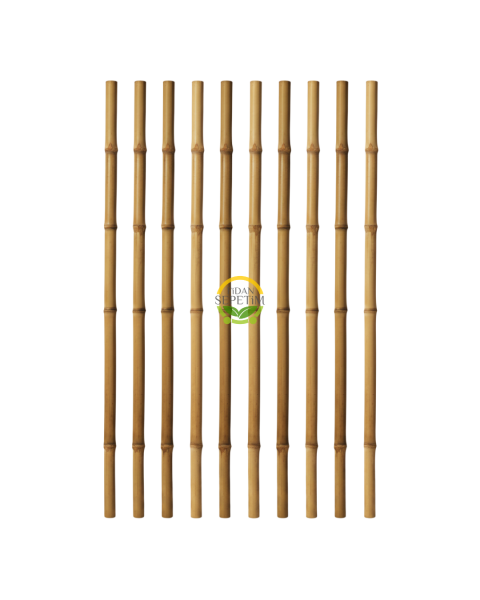 Fidan Dikim Destek Çubuğu 50 Adet (150cm)